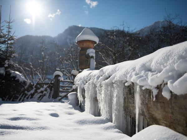 Garden [winter]