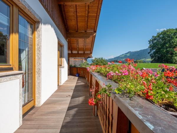 Patio / Balcony