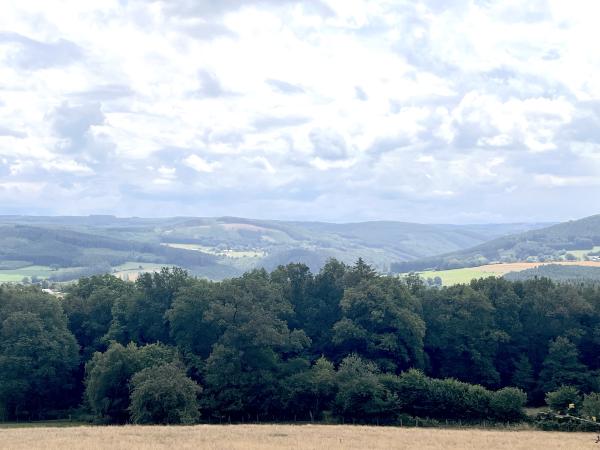 Omgeving [zomer] (1-5 km)