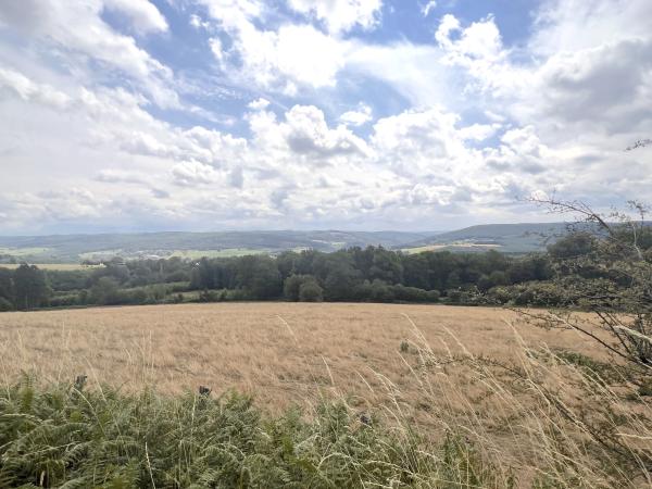 Dans les environs [été] (1-5 km)