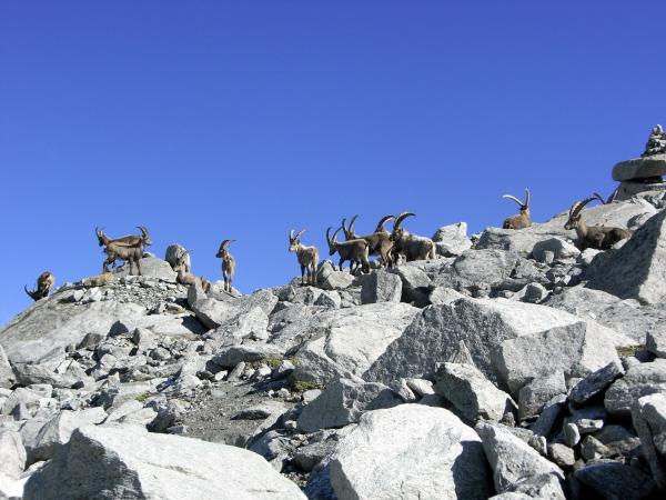 In der Region [Sommer] (>5 km)