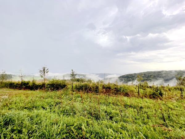 Dans les environs [été] (1-5 km)