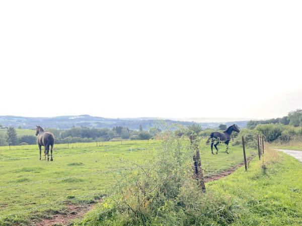 Immediate Surroundings [summer] (<1 km)