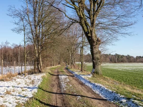 Direkte Umgebung [Winter] (<1 km)