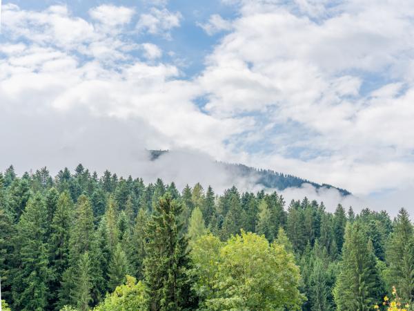 Directe omgeving [zomer] (<1 km)