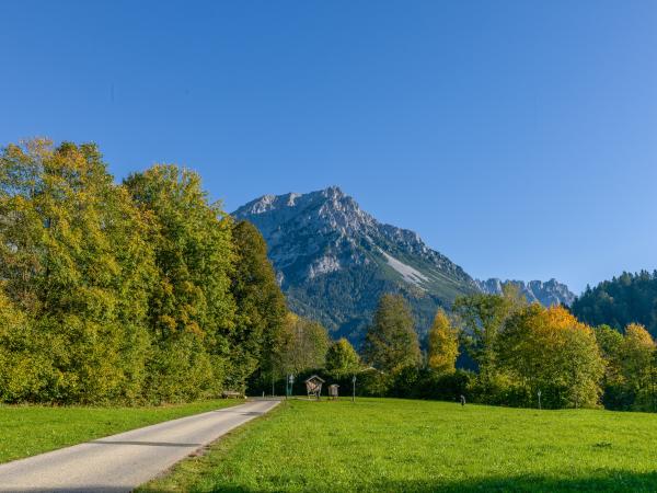 Directe omgeving [zomer] (<1 km)