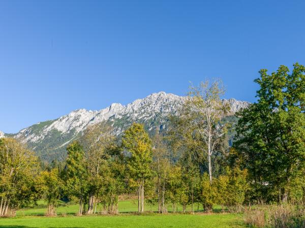 Dans les environs [été] (1-5 km)