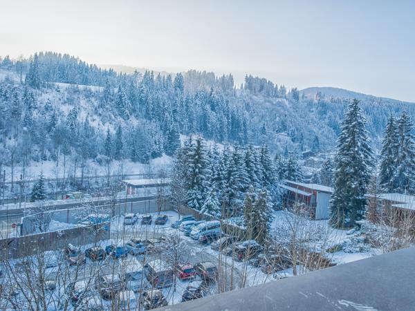 Uitzicht van vakantiehuis [winter]