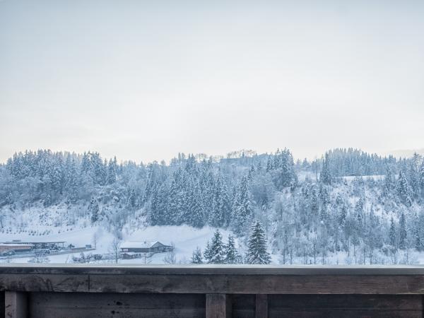 Uitzicht van vakantiehuis [winter]