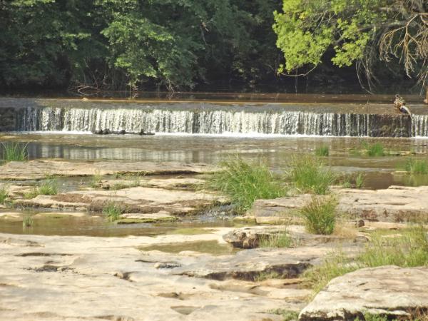 Dans les environs [été] (1-5 km)