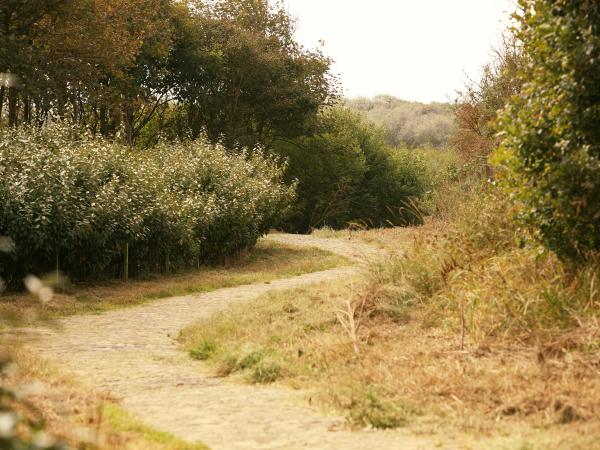 A proximité directe [été] (<1 km)