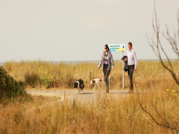 A proximité directe [été] (<1 km)