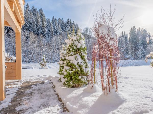 Vue de la maison de vacances [hiver]