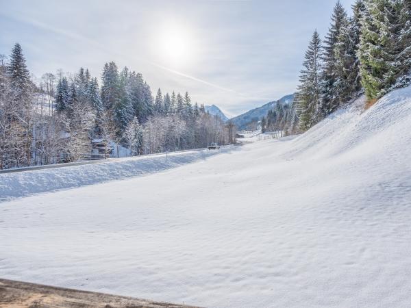 View from Holiday Home [winter]