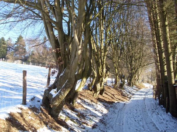 Dans les environs [hiver] (1-5 km)