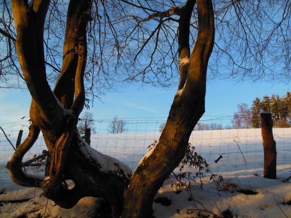 Dans les environs [hiver] (1-5 km)