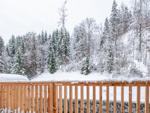 Vue de la maison de vacances [hiver]