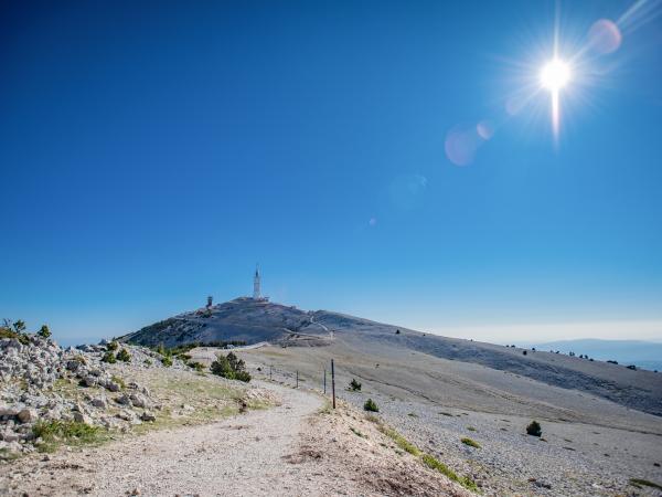 In der Region [Sommer] (>5 km)