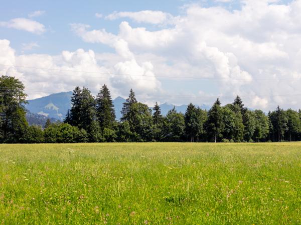 Aussicht vom Ferienhaus [Sommer]