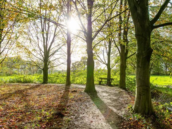 Direkte Umgebung [Sommer] (<1 km)