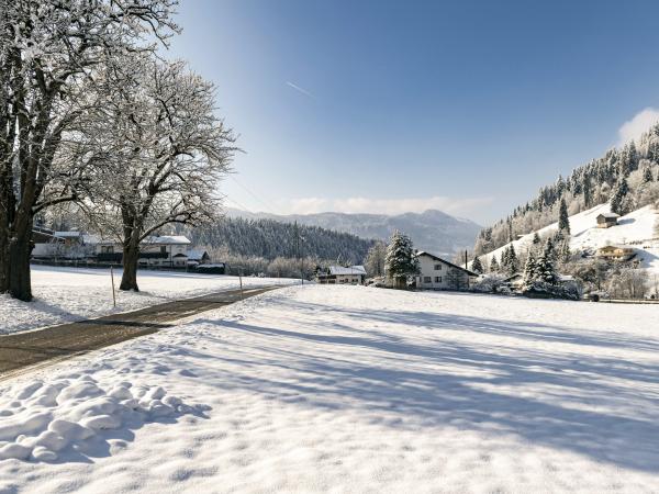 Extérieur maison de vacances [hiver]