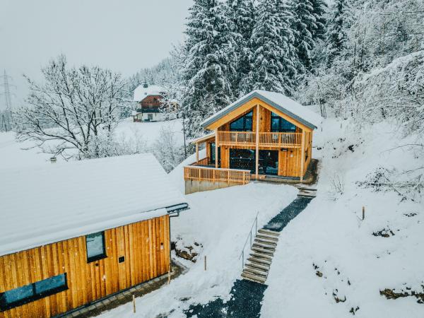 Extérieur maison de vacances [hiver]