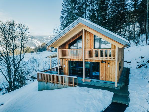 Extérieur maison de vacances [hiver]