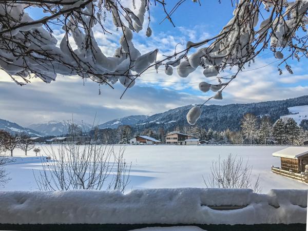 Uitzicht van vakantiehuis [winter]