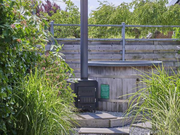 Garten [Sommer]