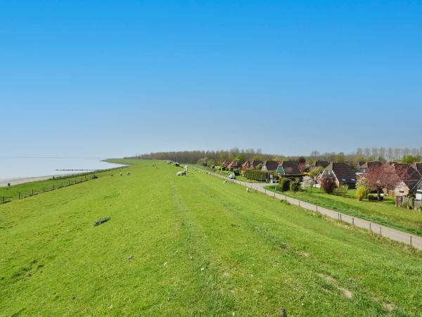 Directe omgeving [zomer] (<1 km)