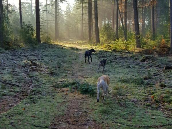 Dans les environs [été] (1-5 km)