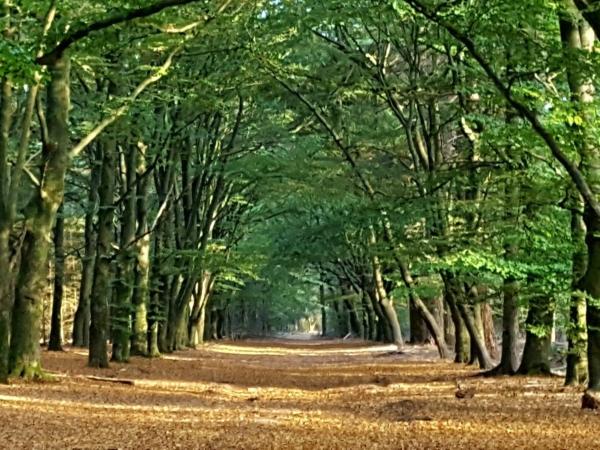 A proximité directe [été] (<1 km)