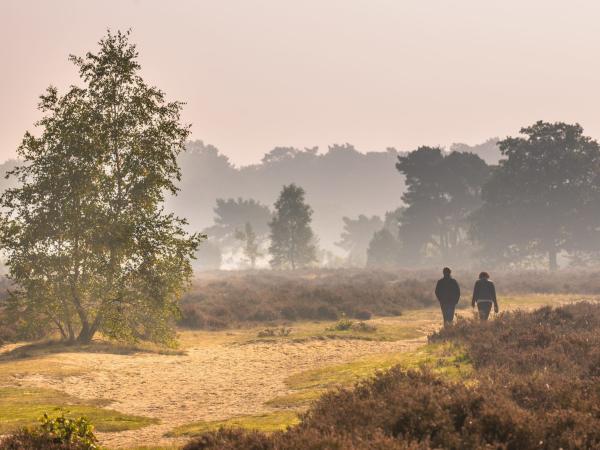 Dans les environs [été] (1-5 km)