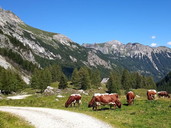 Omgeving [zomer] (1-5 km)