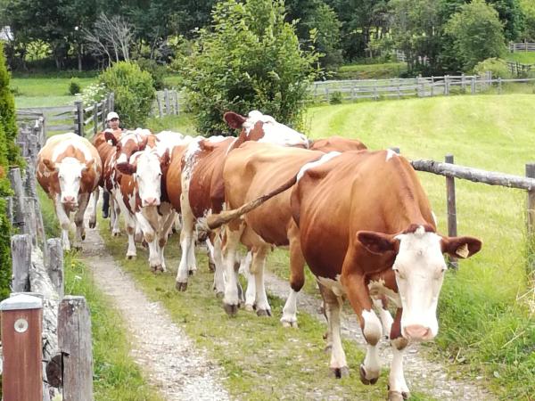 Omgeving [zomer] (1-5 km)