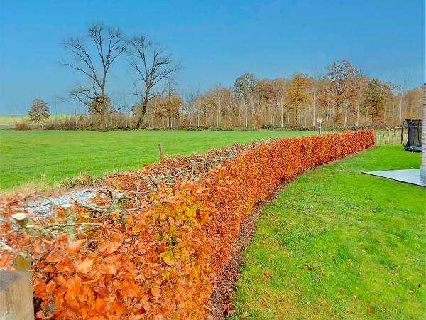 Jardin [été]