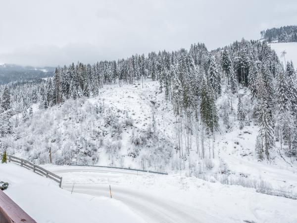 Aussicht vom Ferienhaus [Winter]