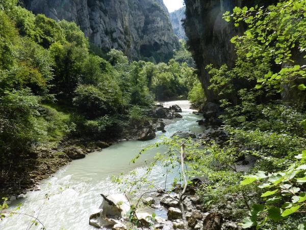 In der Region [Sommer] (>5 km)