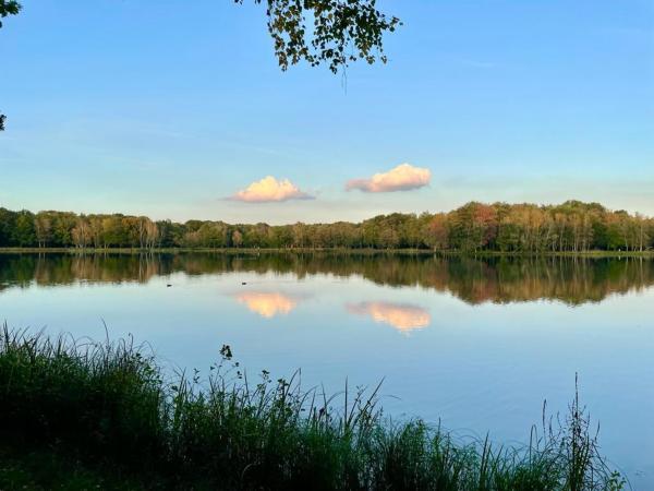 Omgeving [zomer] (1-5 km)