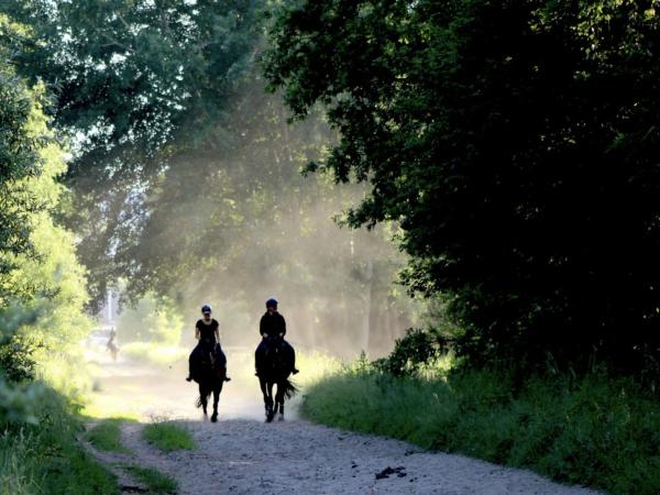 Omgeving [zomer] (1-5 km)