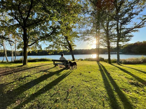 Omgeving [zomer] (1-5 km)