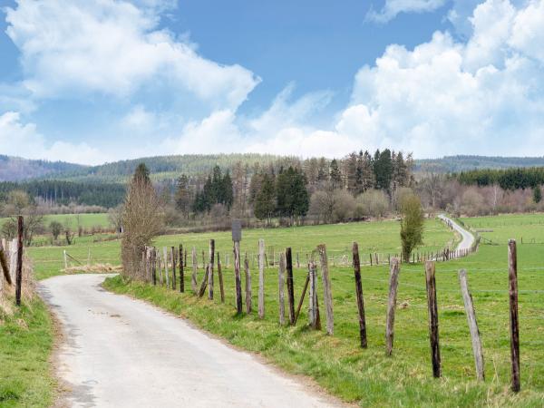 Directe omgeving [zomer] (<1 km)