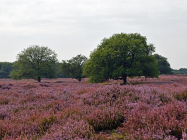 Surroundings [summer] (1-5 km)