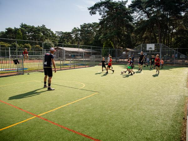 Ausstattung und Service des Ferienparks