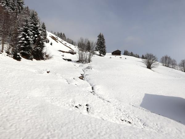 View from Holiday Home [winter]