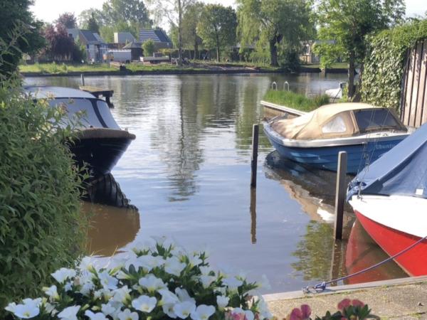 Vue de la maison de vacances [été]