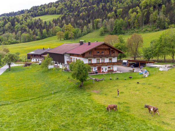 Extérieur maison de vacances [été]