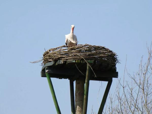 Uitzicht van vakantiehuis [zomer]