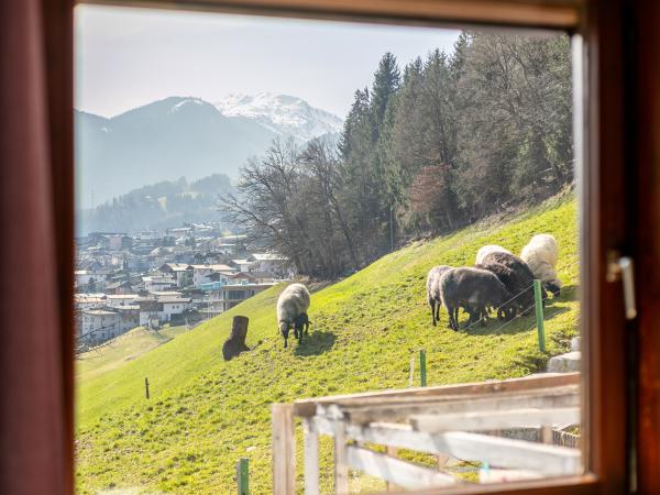 Vue de la maison de vacances [été]