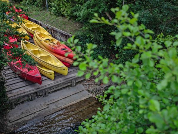 Directe omgeving [zomer] (<1 km)